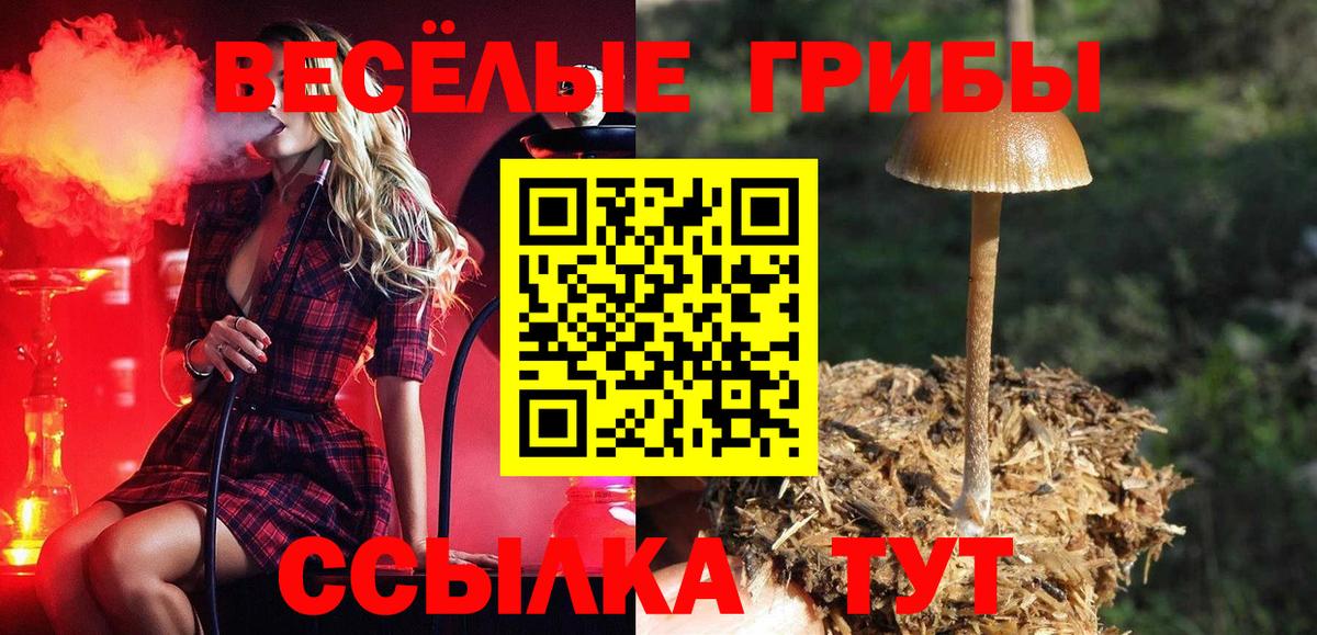 Псилоцибиновые грибы мицелий Дубна