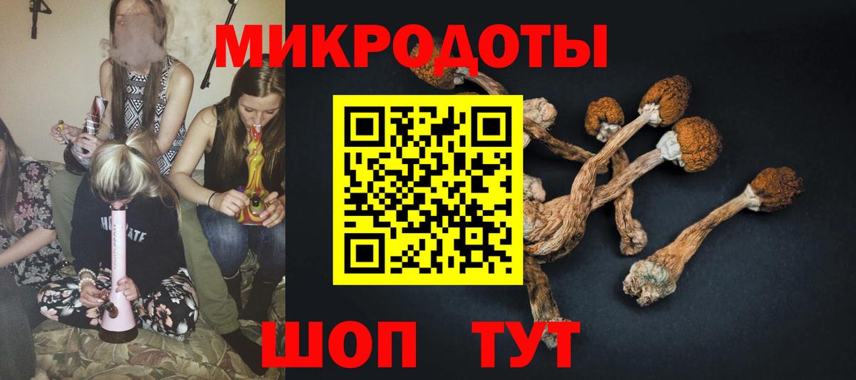 Галлюциногенные грибы MAGIC MUSHROOMS  Вход с VPN  Дубна 